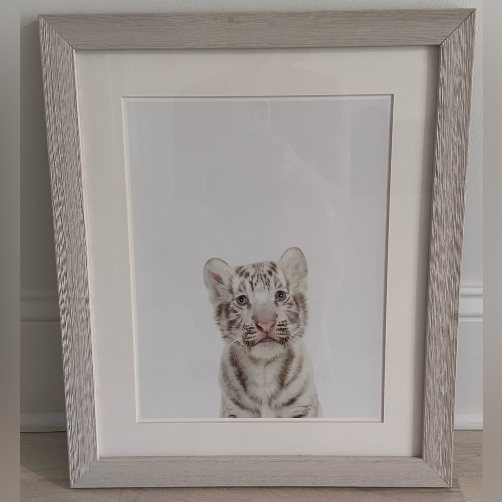 Restoration Hardware Baby Animal Close Up Portrait